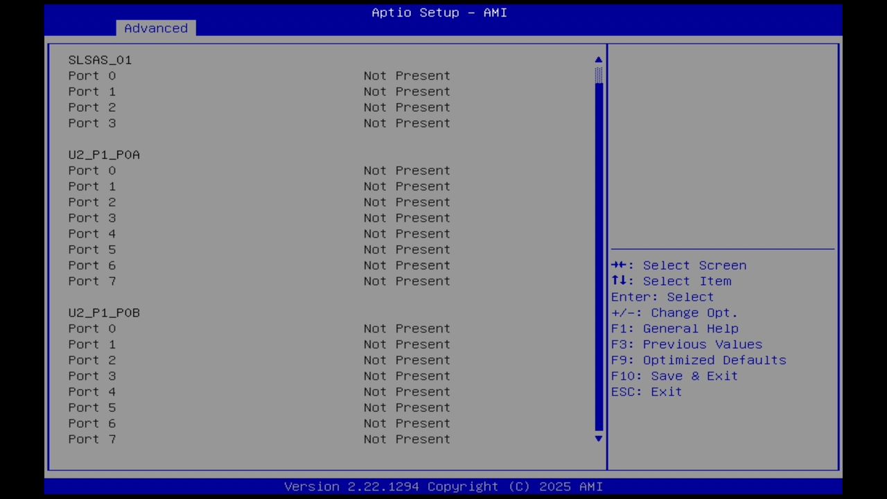 BIOS screenshot thumbnail