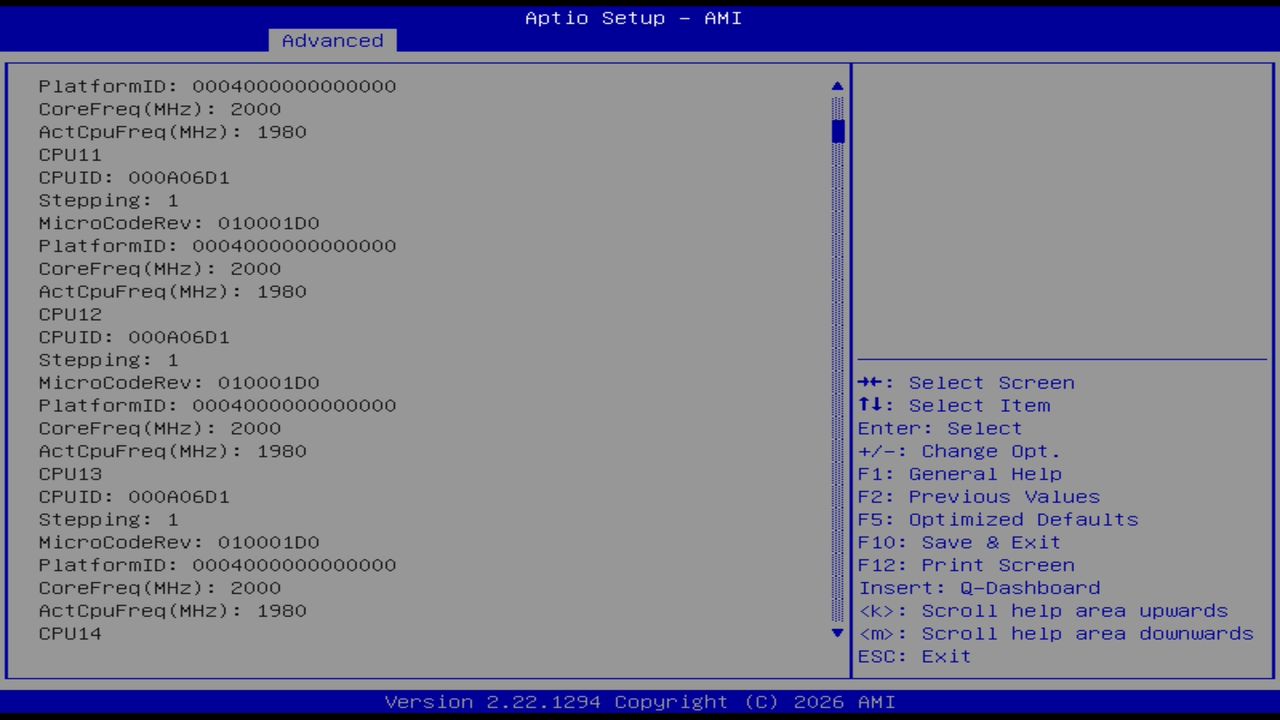 BIOS screenshot thumbnail