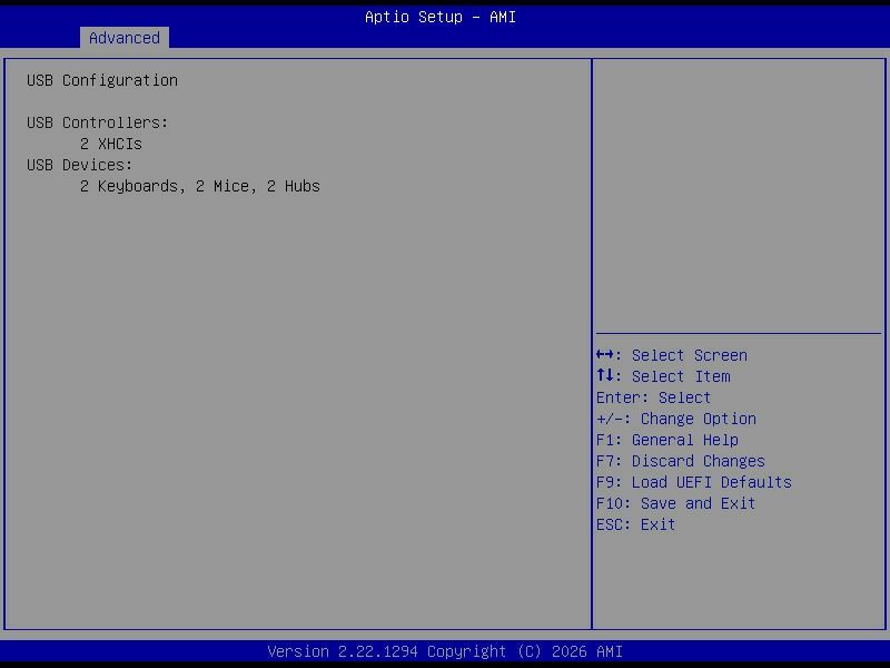 BIOS screenshot thumbnail