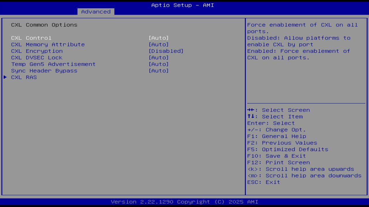 BIOS screenshot thumbnail