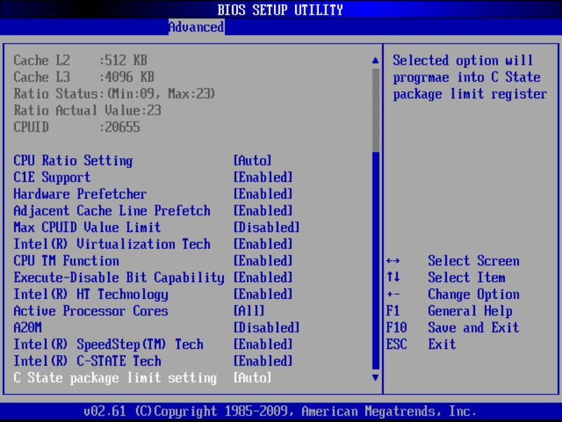 BIOS screenshot thumbnail